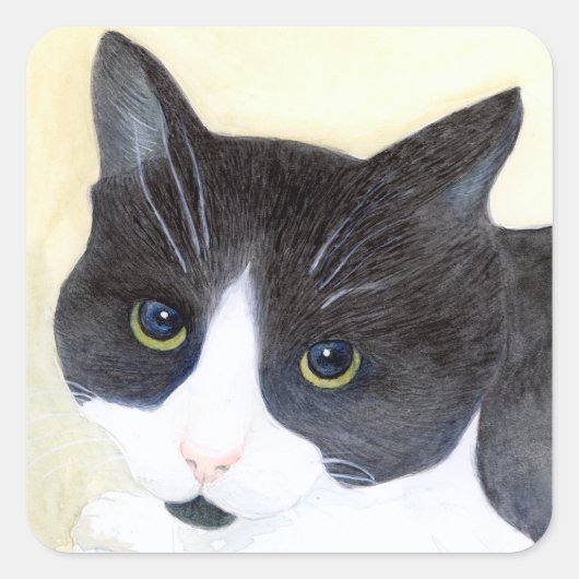 Zwarte en witte kat vierkante sticker (Voorkant)
