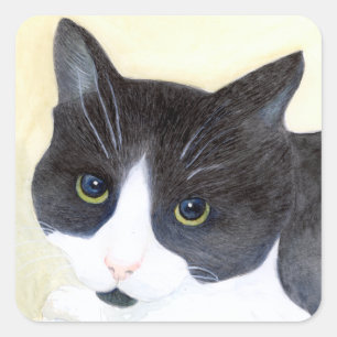 Zwarte en witte kat vierkante sticker