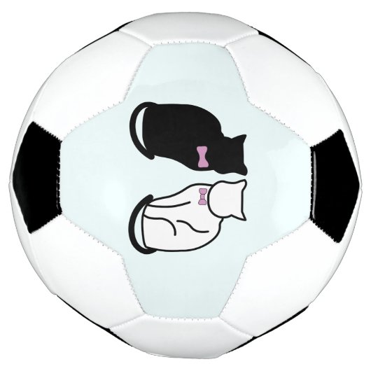 Zwarte en witte kat voetbal (Gedraaid)