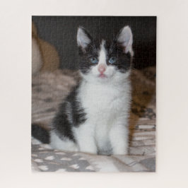 Zwarte en witte katjes legpuzzel