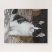 Zwarte en witte katjes legpuzzel (Horizontaal)