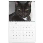 ZWARTE EN WITTE KATTEN 2018 KALENDER (Mar 2026)