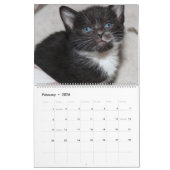 ZWARTE EN WITTE KATTEN 2018 KALENDER (Feb 2026)