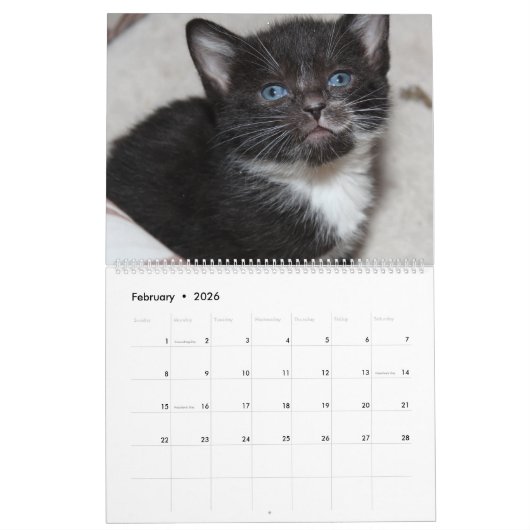 ZWARTE EN WITTE KATTEN 2018 KALENDER (Feb 2026)
