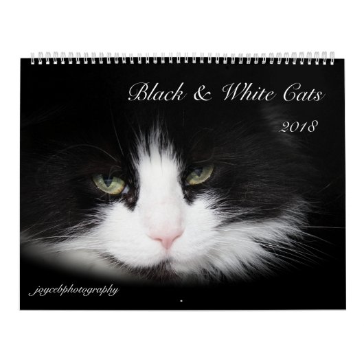 ZWARTE EN WITTE KATTEN 2018 KALENDER (Hoes)