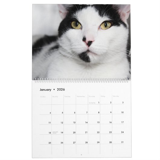 ZWARTE EN WITTE KATTEN 2018 KALENDER (Jan 2026)