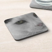 Zwarte en witte katten bier onderzetter (Linkerzijde)