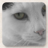 Zwarte en witte katten bier onderzetter (Voorkant)