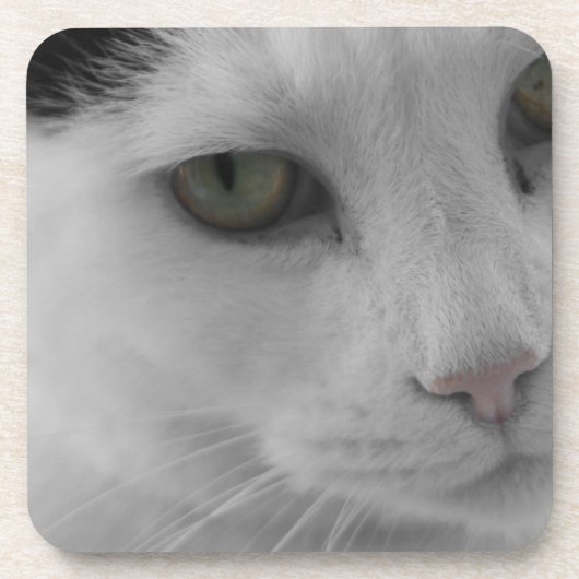 Zwarte en witte katten bier onderzetter (Voorkant)