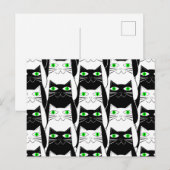 Zwarte en witte katten briefkaart (Voorkant / Achterkant)