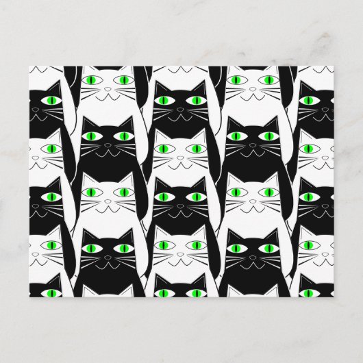 Zwarte en witte katten briefkaart (Voorkant)