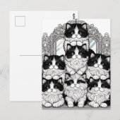 Zwarte en witte katten briefkaart (Voorkant / Achterkant)