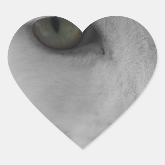 Zwarte en witte katten hart sticker (Voorkant)