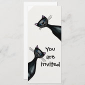 Zwarte en witte katten kaart (Voorkant / Achterkant)