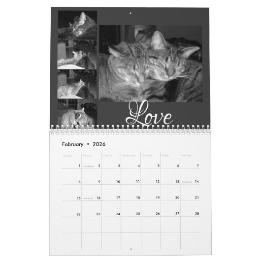 Zwarte en witte katten kalender (Feb 2026)
