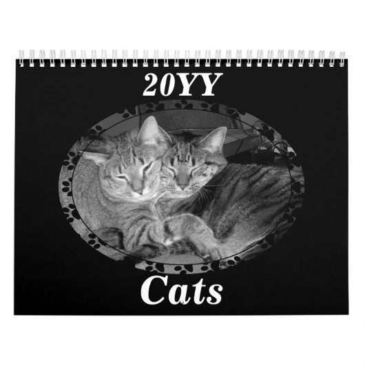 Zwarte en witte katten kalender (Hoes)