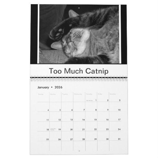 Zwarte en witte katten kalender (Jan 2026)