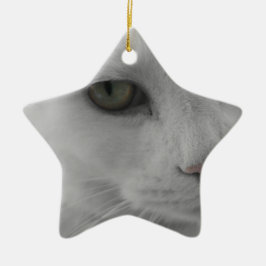 Zwarte en witte katten keramisch ornament