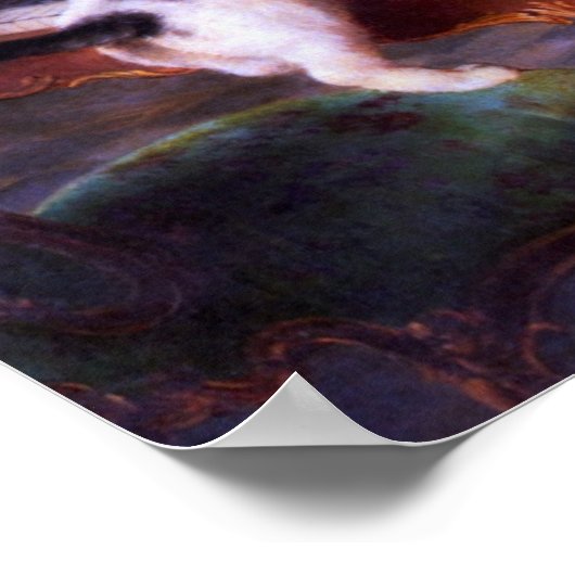 Zwarte en witte katten Kitten Poster (Hoek)