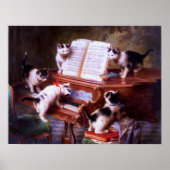 Zwarte en witte katten Kitten Poster (Voorkant)