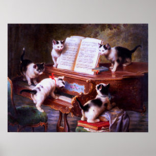 Zwarte en witte katten Kitten Poster