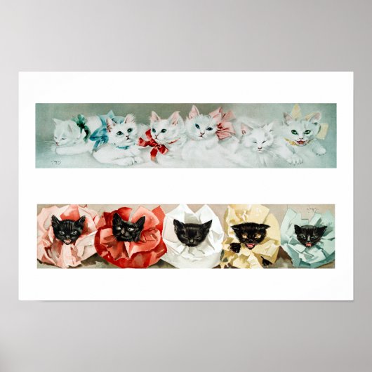  zwarte en witte katten - Lithograaf door Janus Poster (Voorkant)