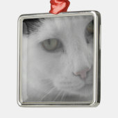 Zwarte en witte katten metalen ornament (Links)