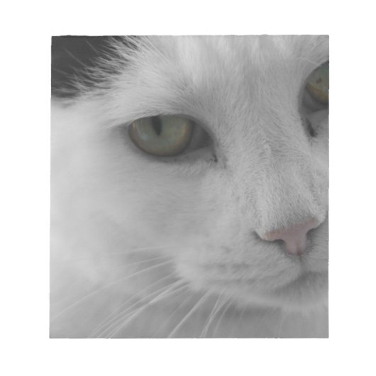 Zwarte en witte katten notitieblok (Voorkant)