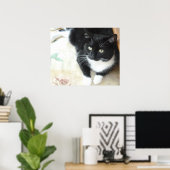 Zwarte en witte katten poster (Thuiskantoor)