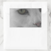 Zwarte en witte katten rechthoekige sticker (Tas)