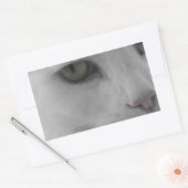 Zwarte en witte katten rechthoekige sticker (Envelop)