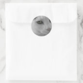 Zwarte en witte katten ronde sticker (Tas)