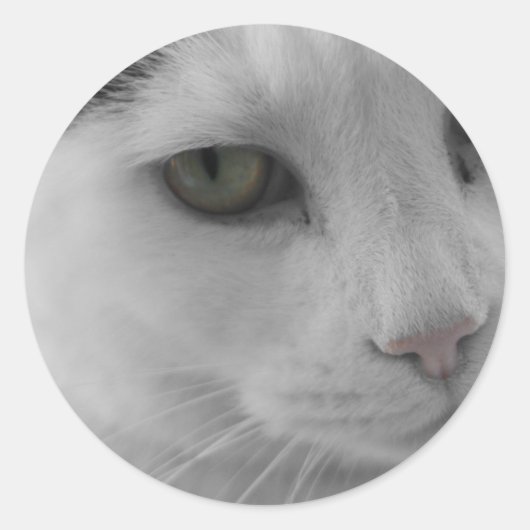 Zwarte en witte katten ronde sticker (Voorkant)