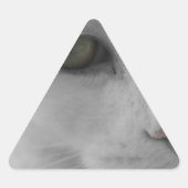 Zwarte en witte katten sticker (Voorkant)