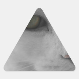 Zwarte en witte katten sticker