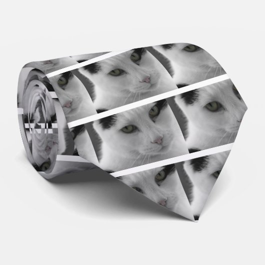 Zwarte en witte katten stropdas (Opgerold)