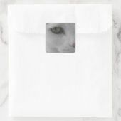Zwarte en witte katten vierkante sticker (Tas)