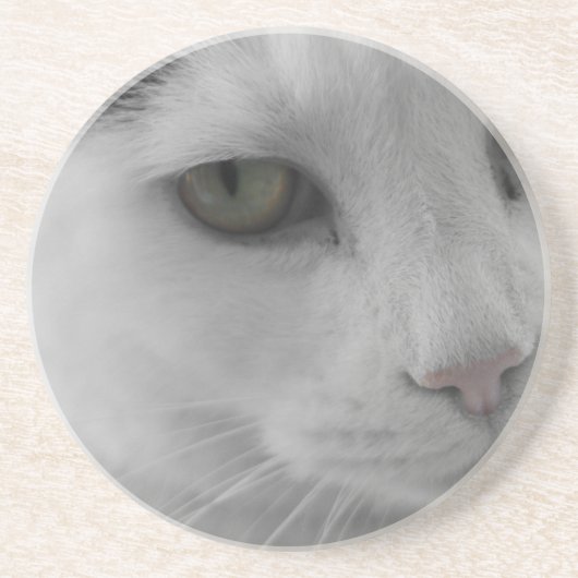 Zwarte en witte katten zandsteen onderzetter (Voorkant)