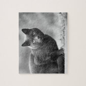 Zwarte en witte kattenpuzzel legpuzzel (Verticaal)