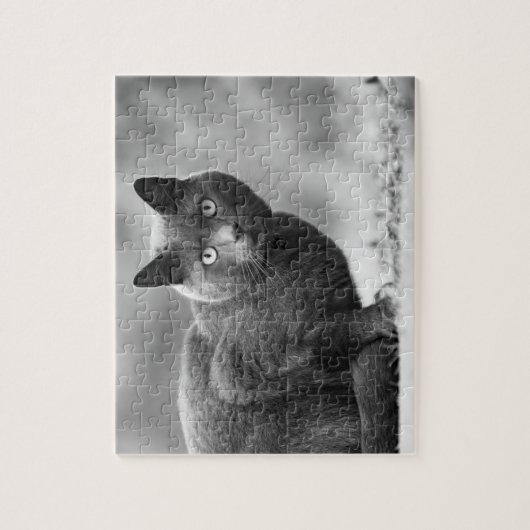 Zwarte en witte kattenpuzzel legpuzzel (Verticaal)