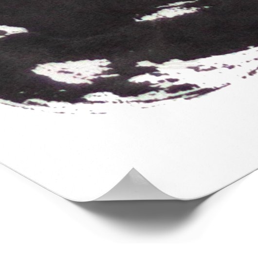 Zwarte en witte kattensumie waterverf en inktschil poster (Hoek)