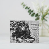 Zwarte en witte ketch van een Cocker Spaniel Briefkaart (Staand voorkant)