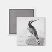 Zwarte en witte Kingfisher Magneet (Voorkant / Achterkant)