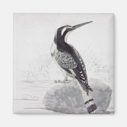 Zwarte en witte Kingfisher Magneet (Voorkant)