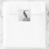 Zwarte en witte Kingfisher Vierkante Sticker (Tas)