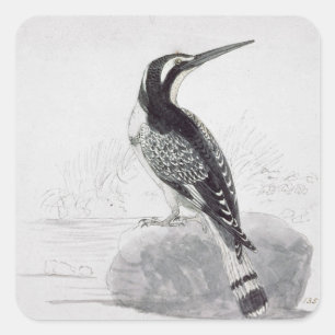 Zwarte en witte Kingfisher Vierkante Sticker