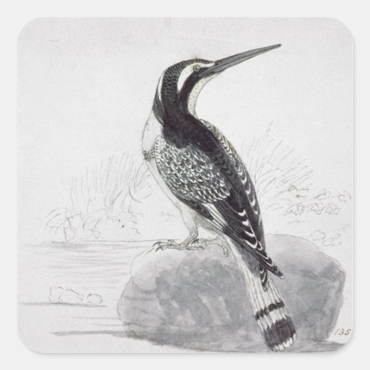 Zwarte en witte Kingfisher Vierkante Sticker (Voorkant)