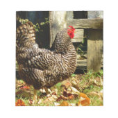 Zwarte en witte kip notitieblok (Voorkant)