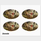 Zwarte en witte kip op de boerderij ovale sticker (Vel)