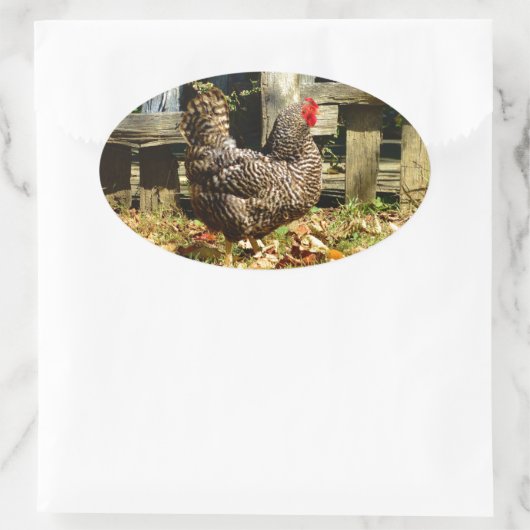 Zwarte en witte kip ovale sticker (Tas)